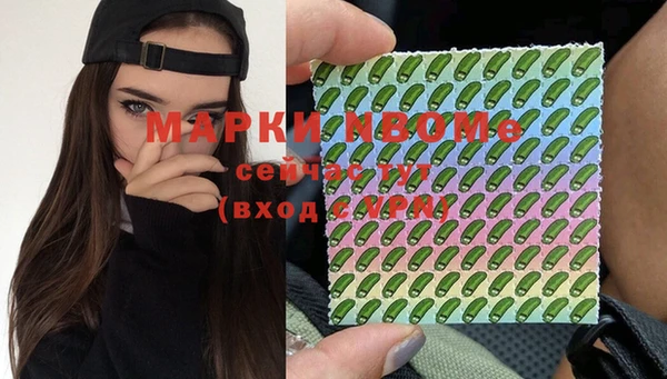 PSILOCYBIN Алзамай