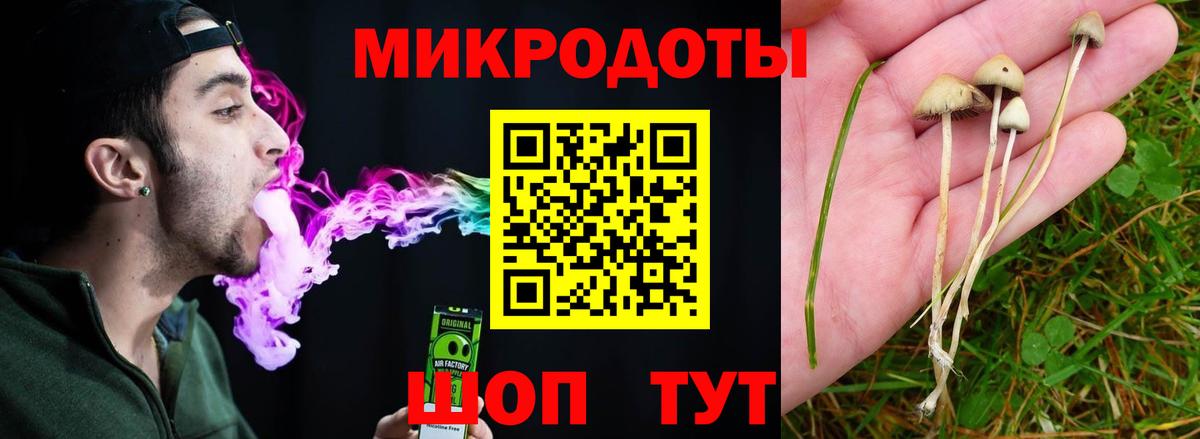Галлюциногенные грибы прущие грибы  Вход с VPN  Раменское 